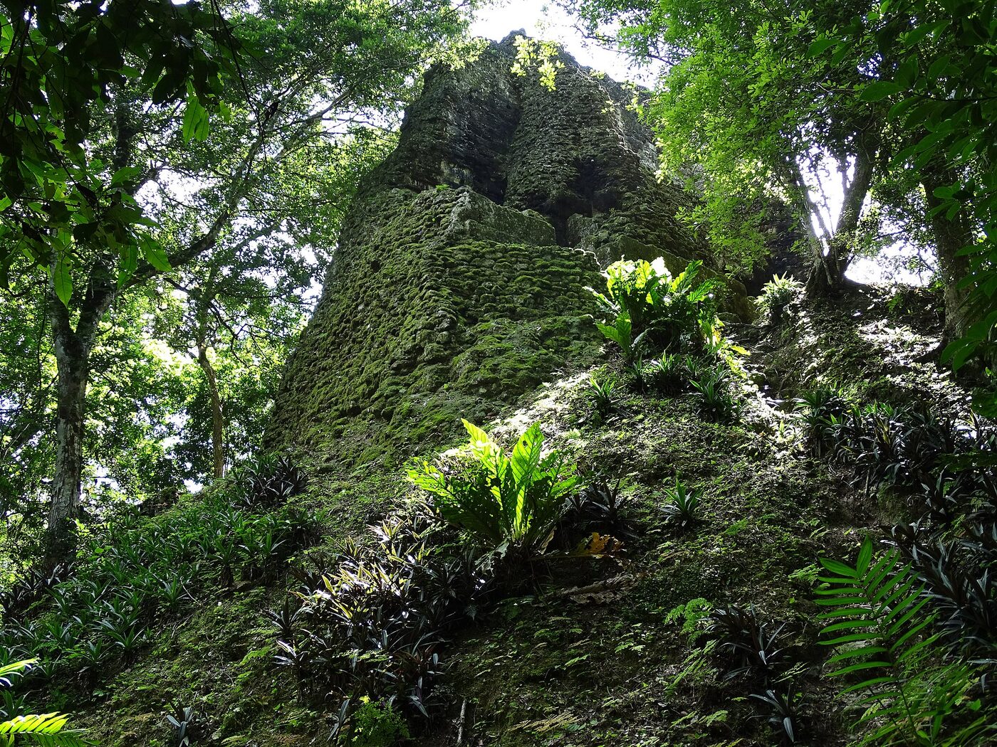 Templo 38 en Flores