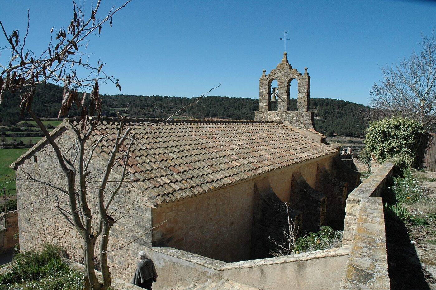 Santa Maria en Senan