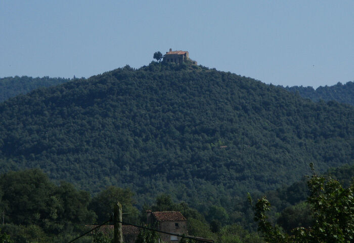 Sant Salvador de Puig-alder