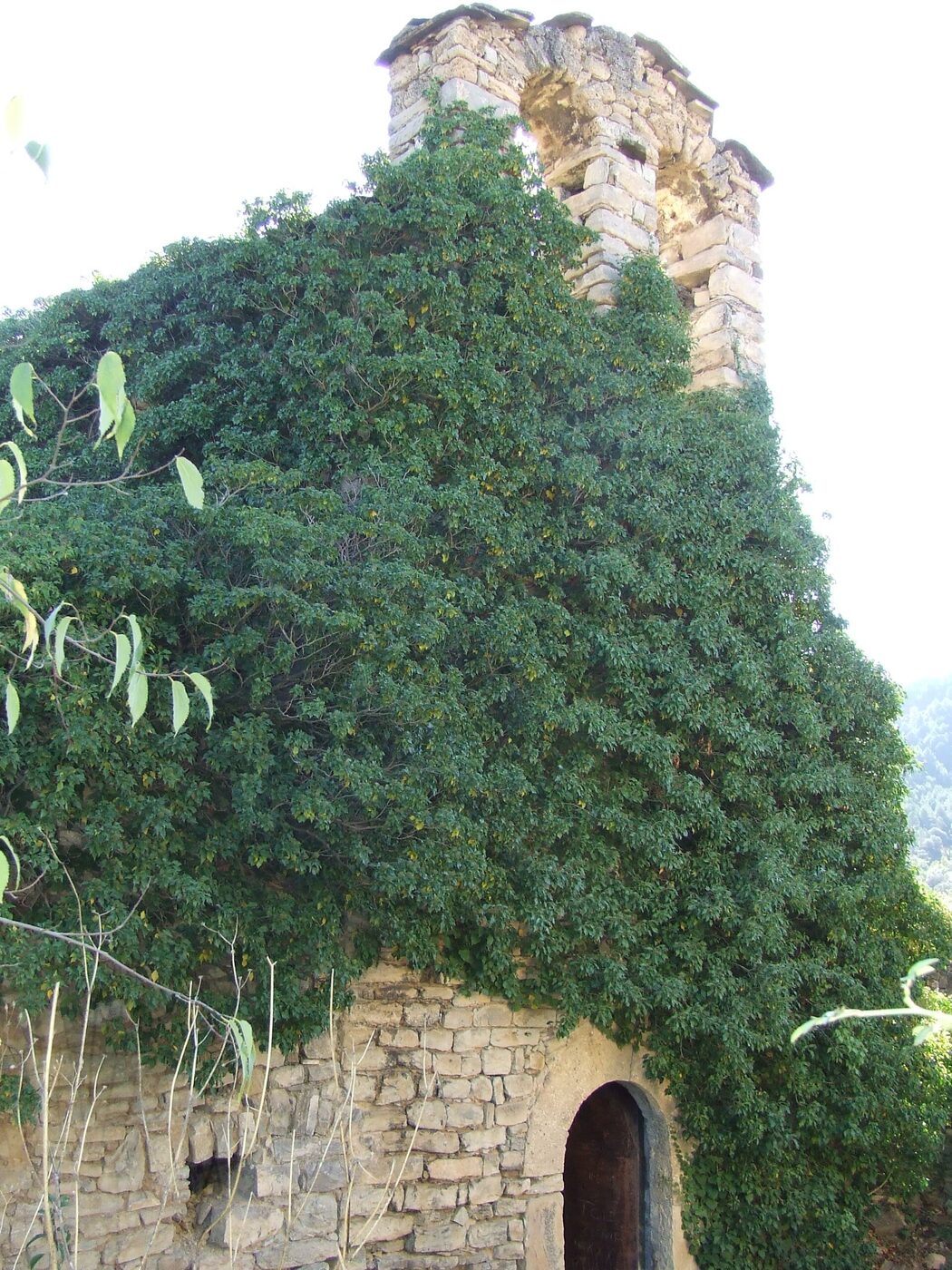 Sant Urbà de Montesquiu en Isona i Conca Dellà