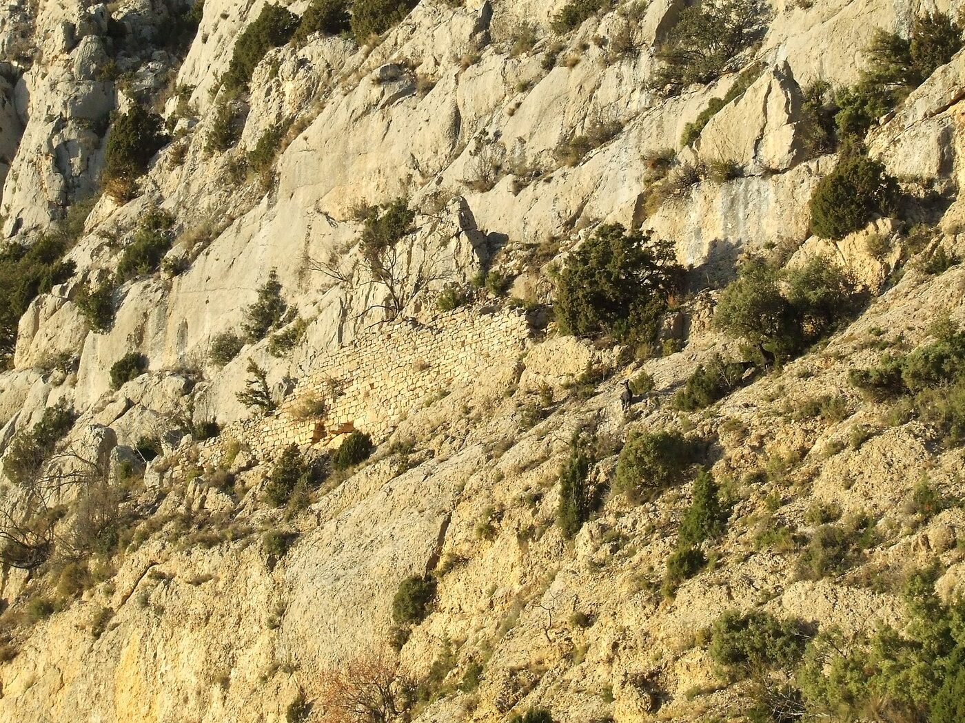 Santa Cauberola d'Abella de la Conca en Abella de la Conca
