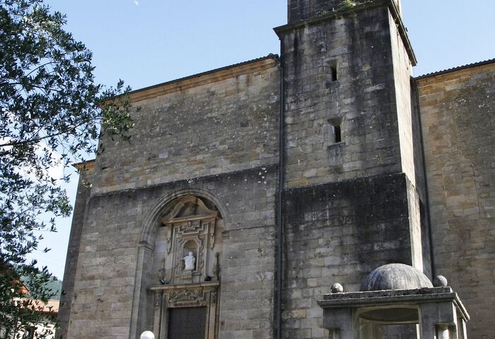 San Martin eliza