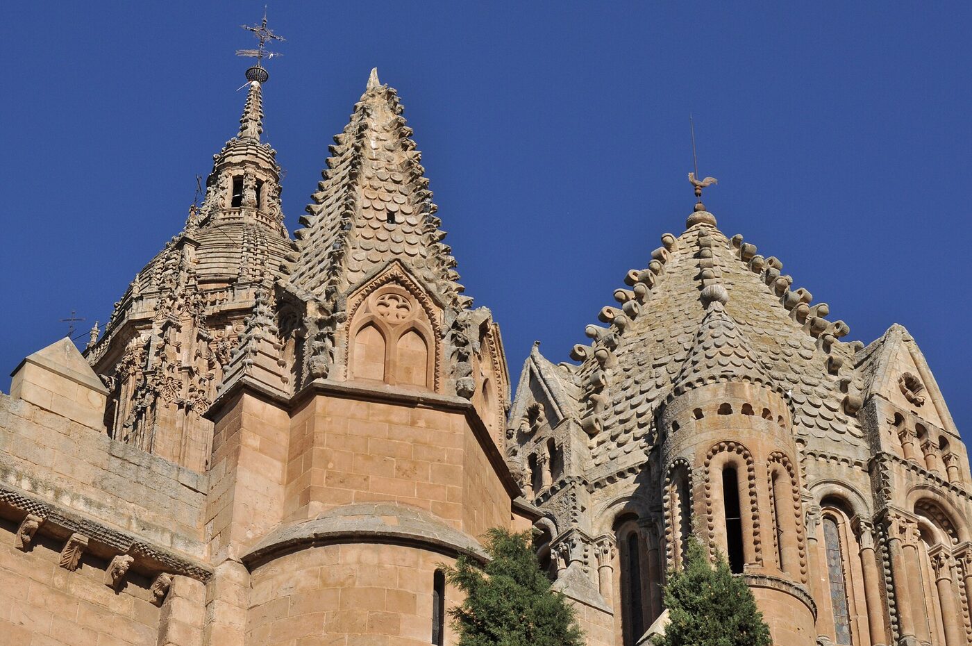 Catedral Vieja en Salamanca