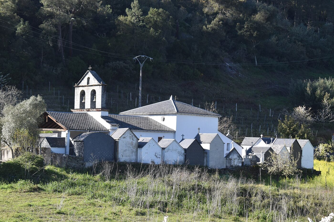 Igrexa de San Lourenzo de Nocedo en Quiroga