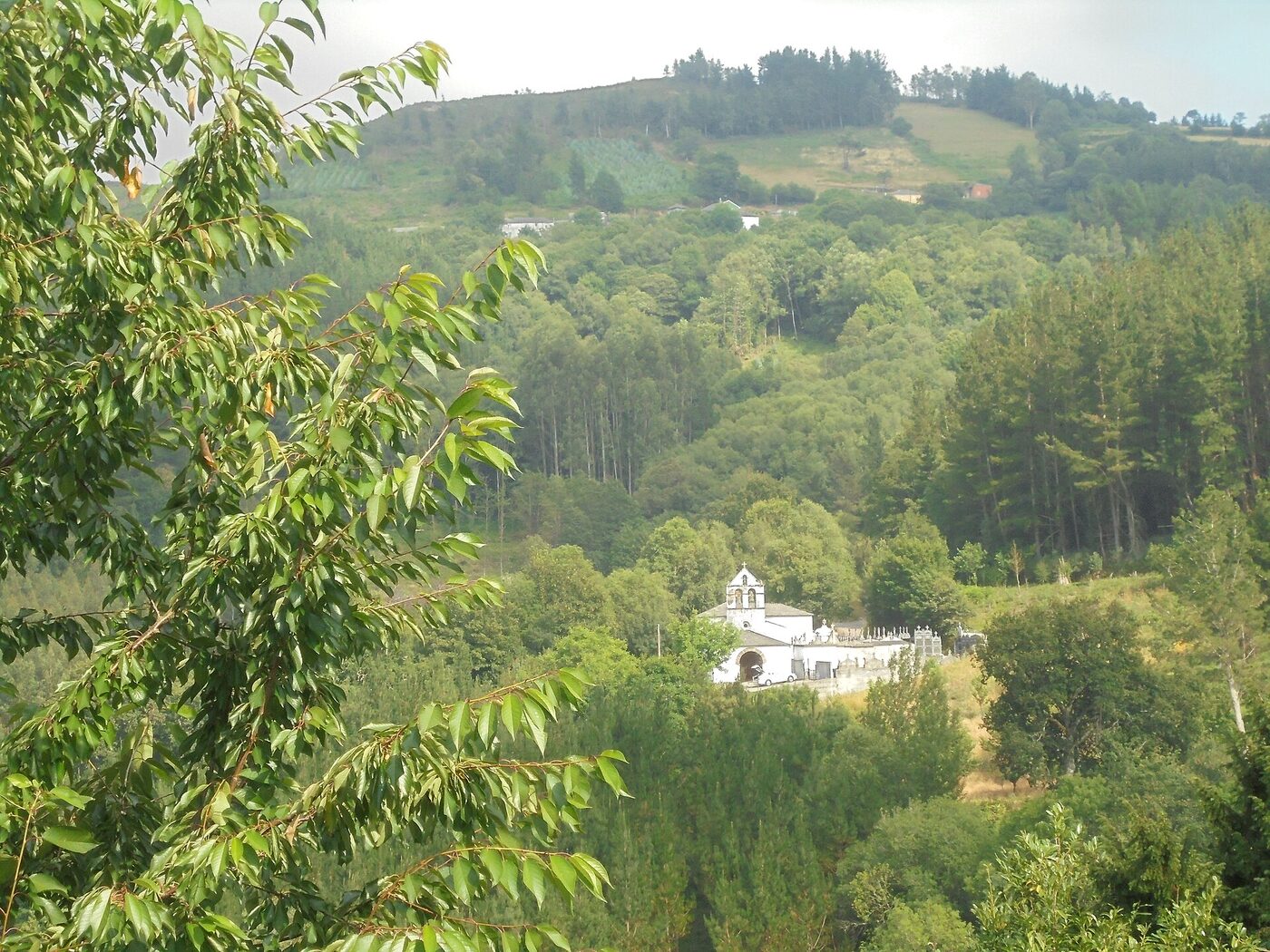 Igrexa de Santiago de Martín en Baleira
