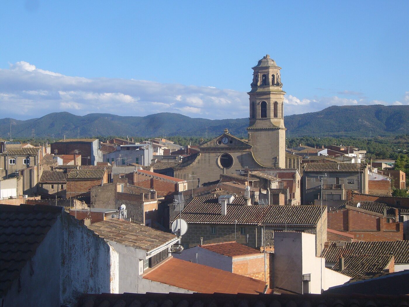 Santa Maria en l'Albi