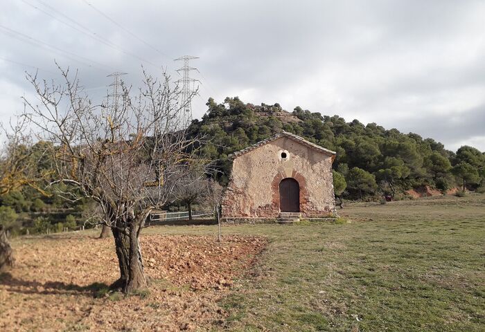 Sant Lleïr