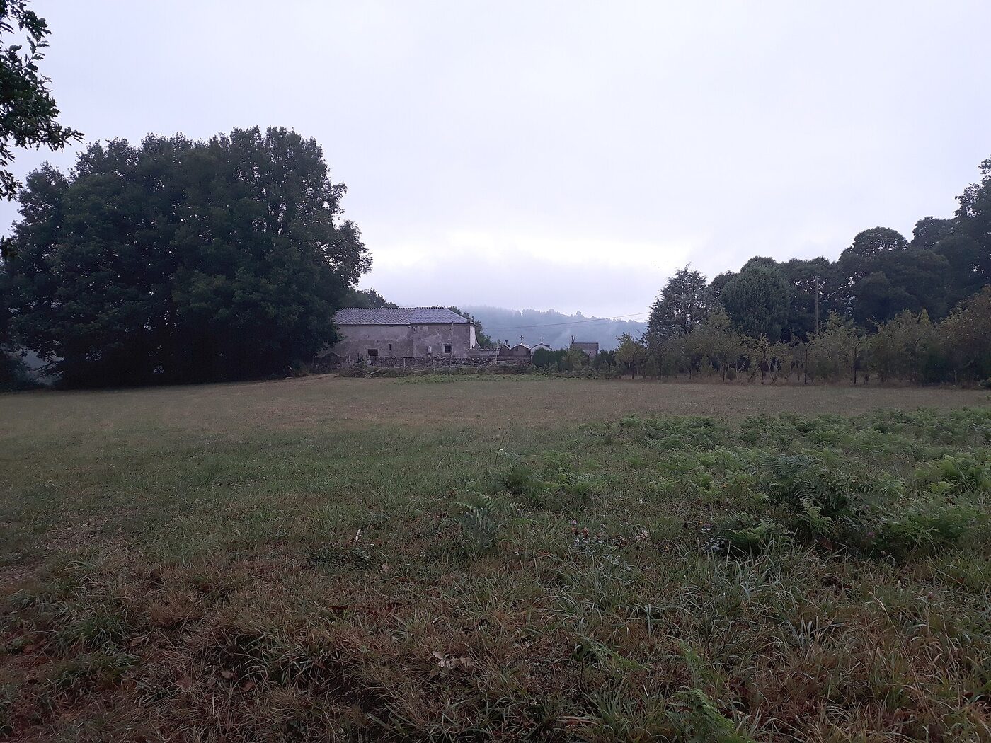 Igrexa de San Miguel do Camiño en Castroverde