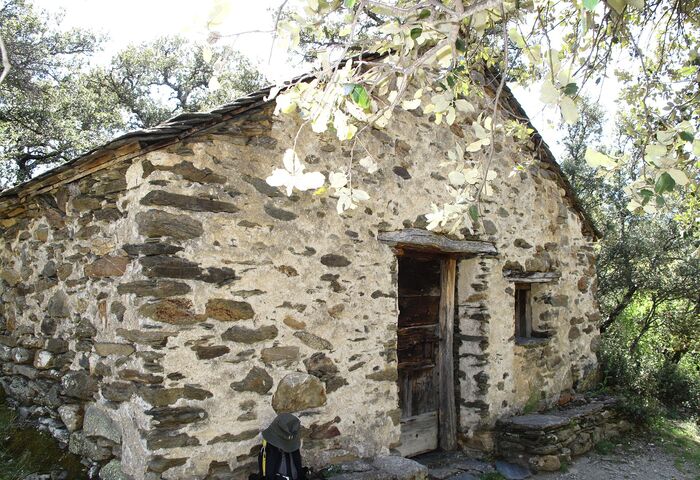 Sant Miquel
