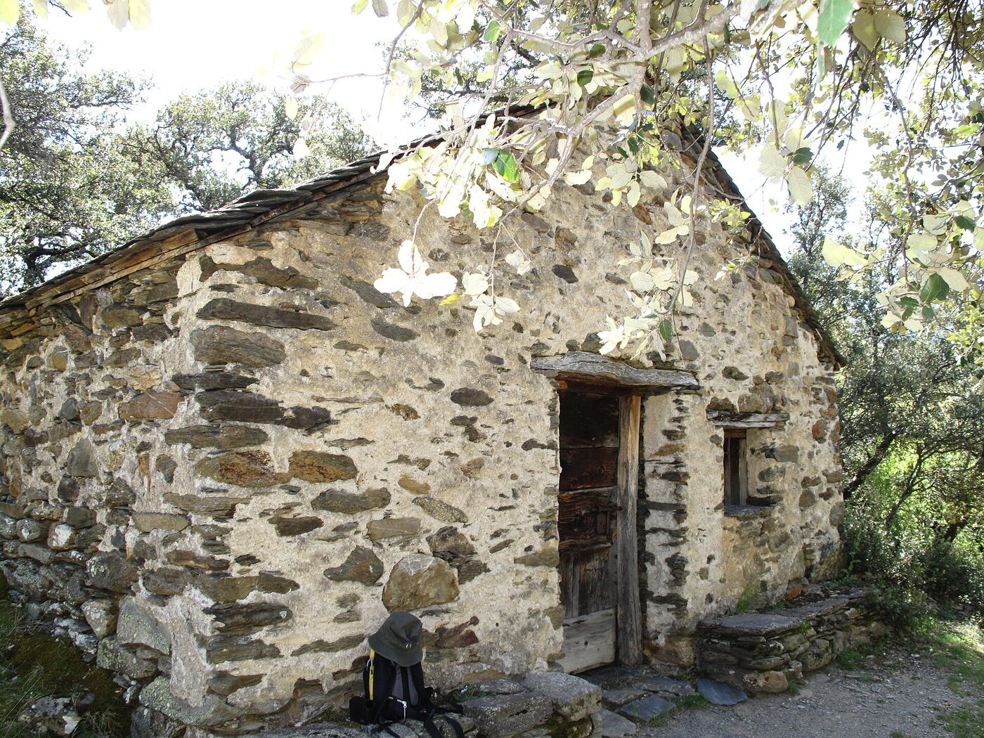 Sant Miquel en Alins