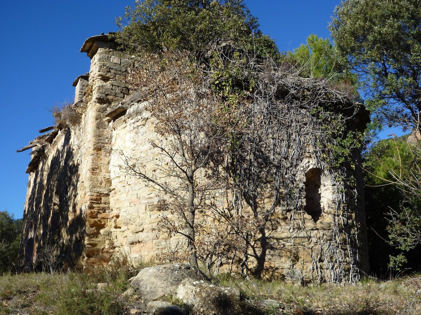 Santa Eugènia en Odèn
