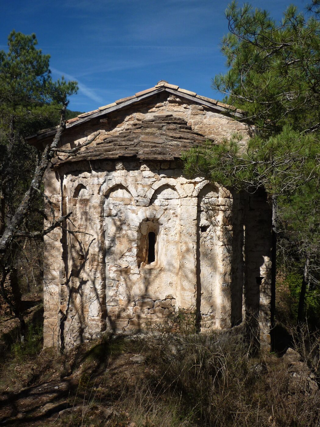 Sant Martí del Puig en la Baronia de Rialb