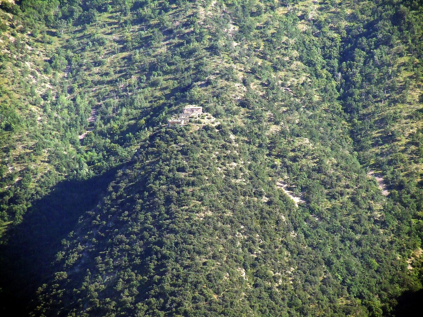 Sant Salvador del Bosc en Llimiana