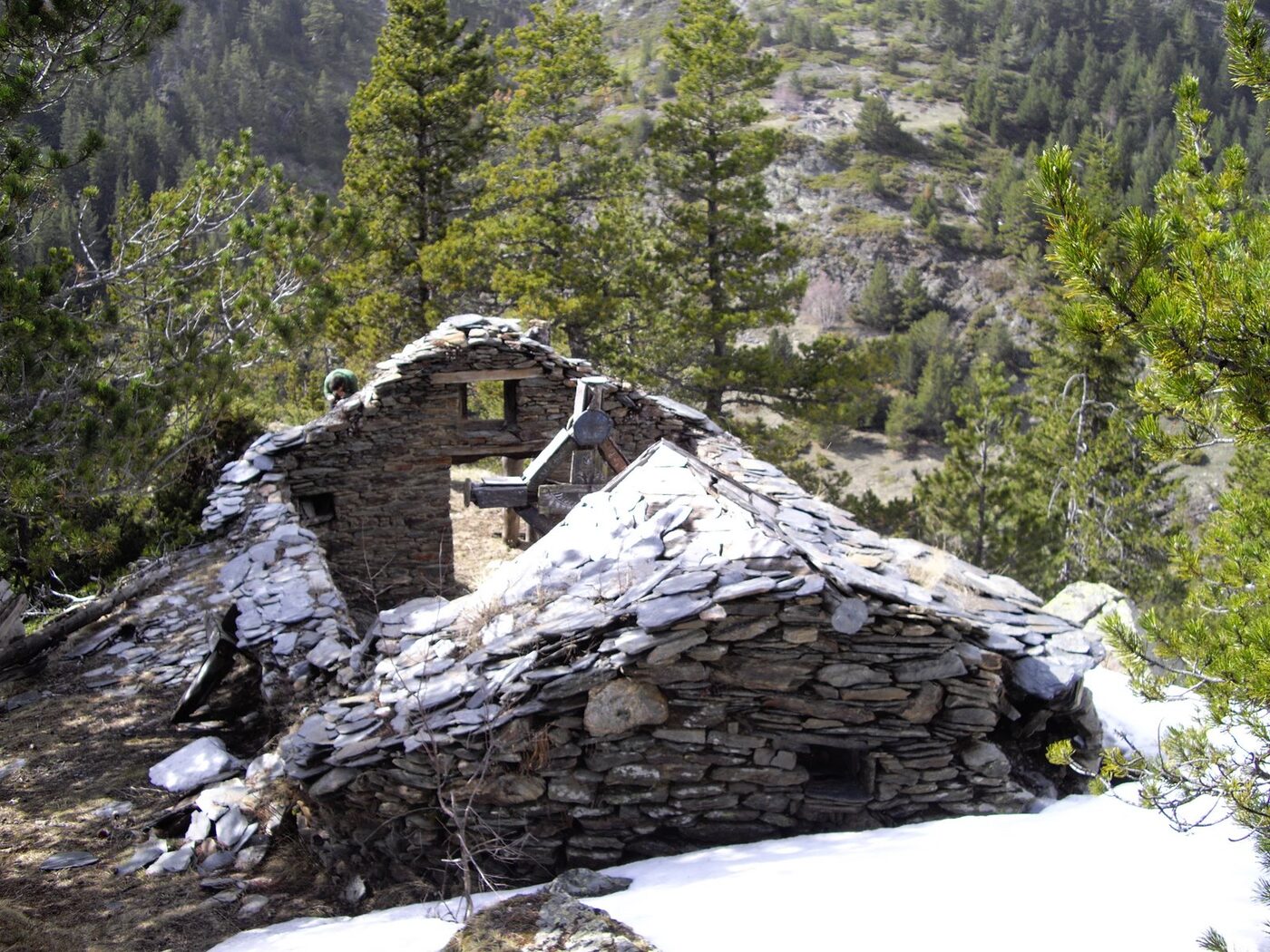 Sant Ambròs en Alins