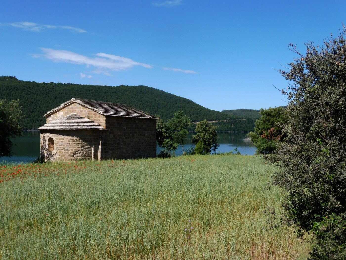 Sant Martí de la Clua en Bassella