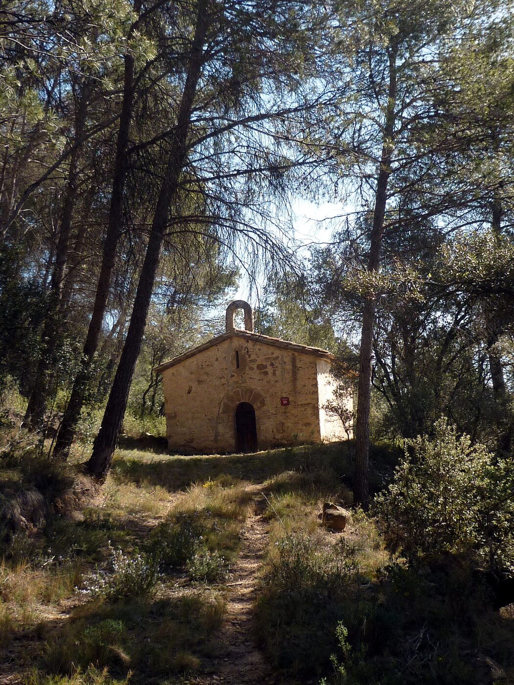 Santa Maria de la Torre del Soler en Clariana de Cardener