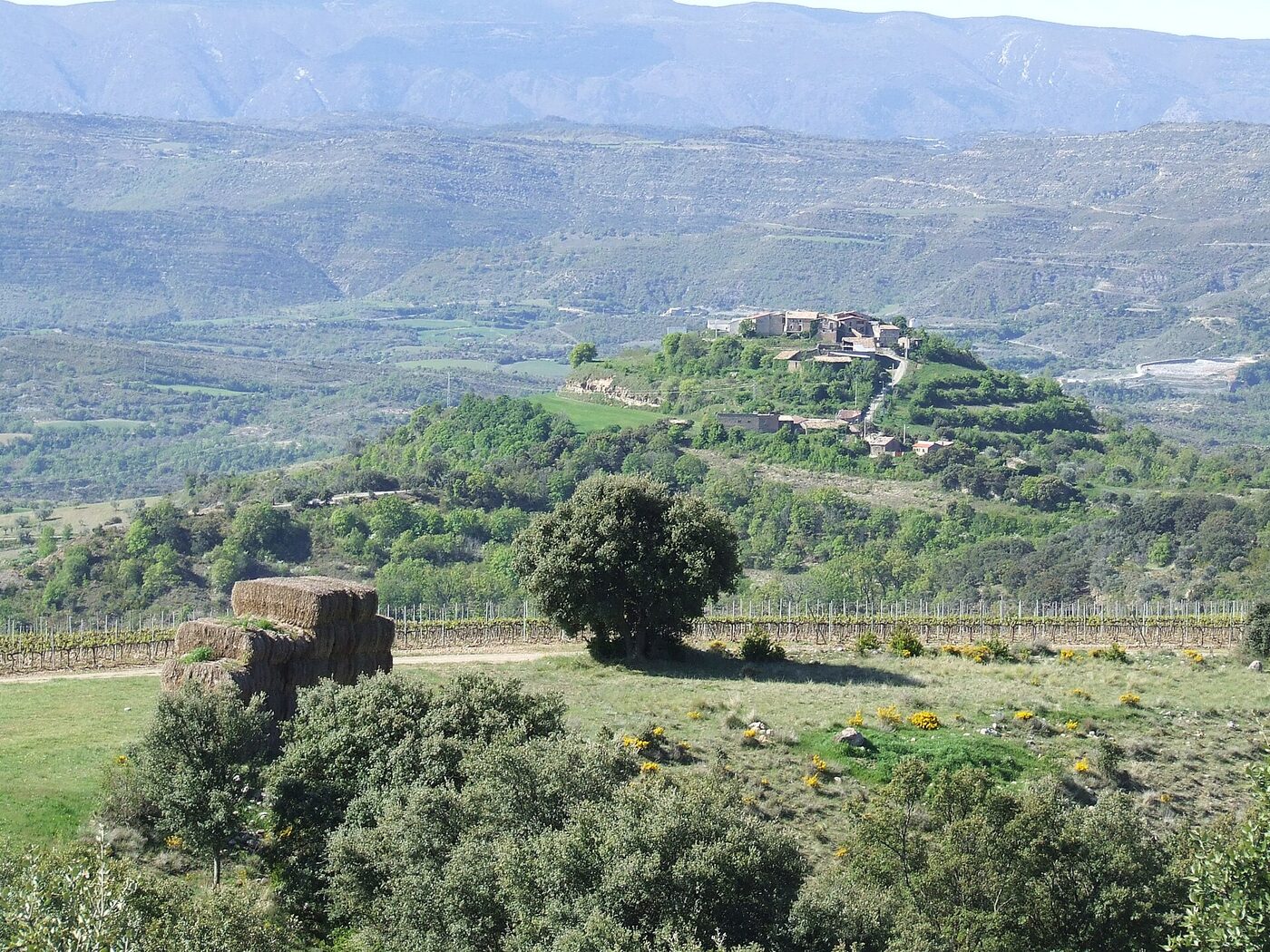 Sant Adrià en Tremp