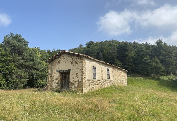 Mare de Déu de la Cau
