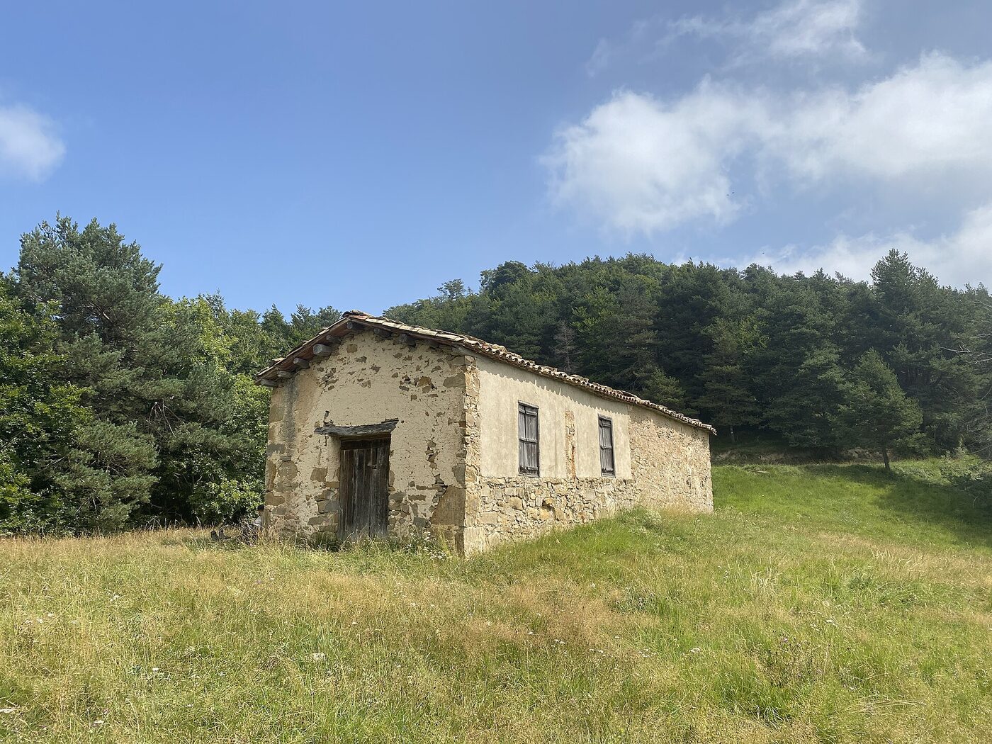 Mare de Déu de la Cau en Ripoll