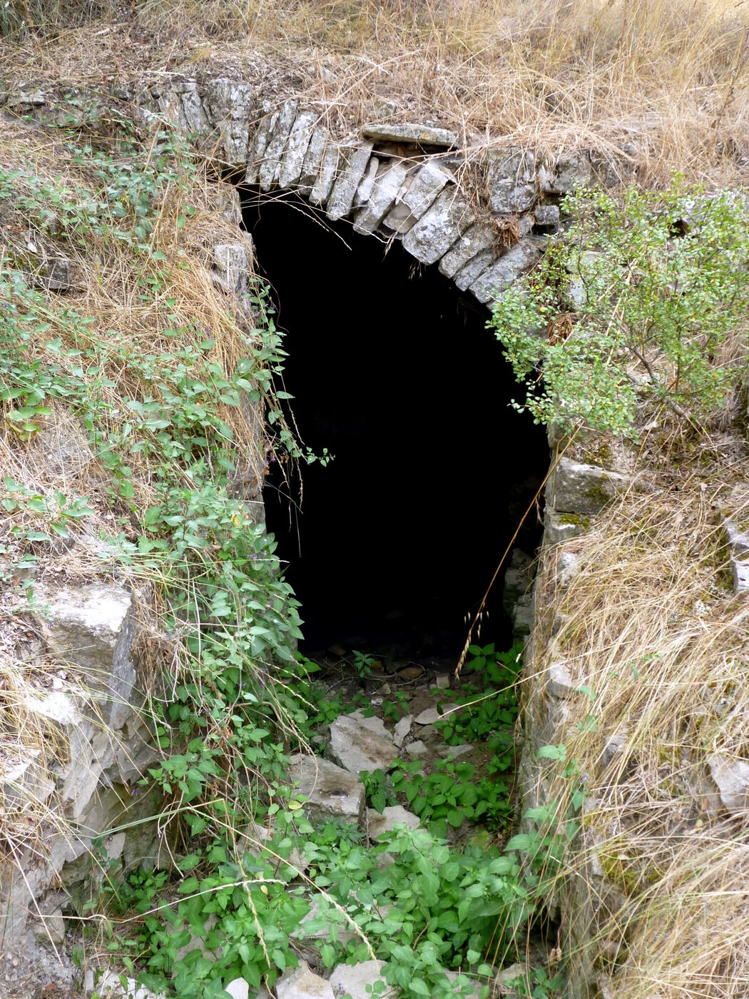 Ermita Sant Salvador en Sant Guim de Freixenet