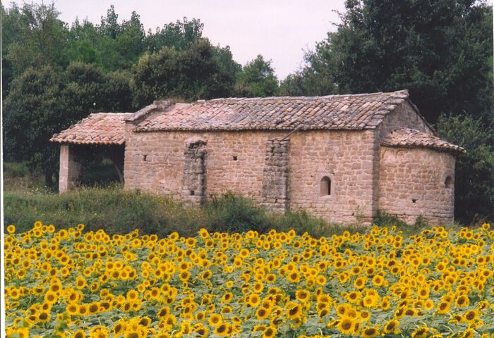 Sant Marçal