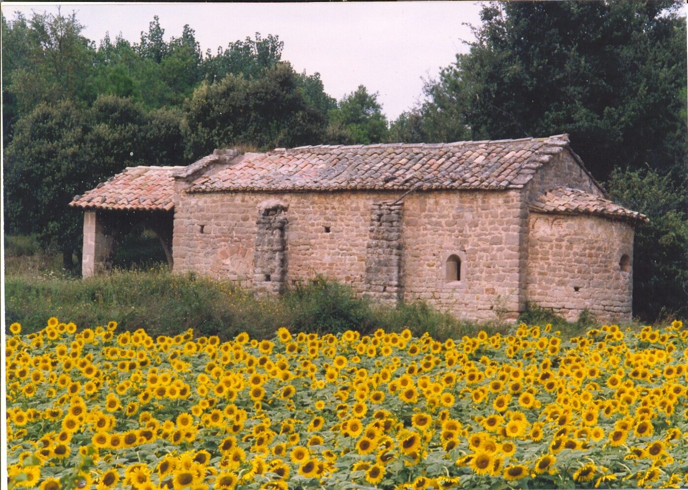 Sant Marçal en Puig-reig