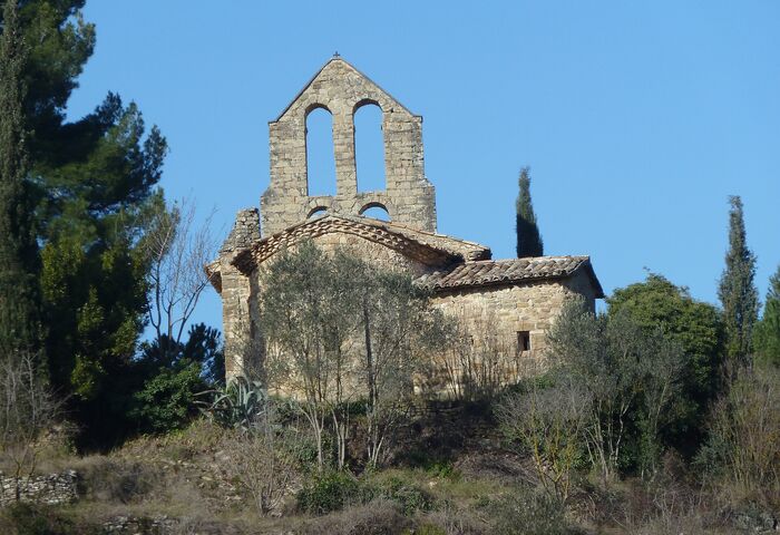 Sant Pere de Vallhonesta