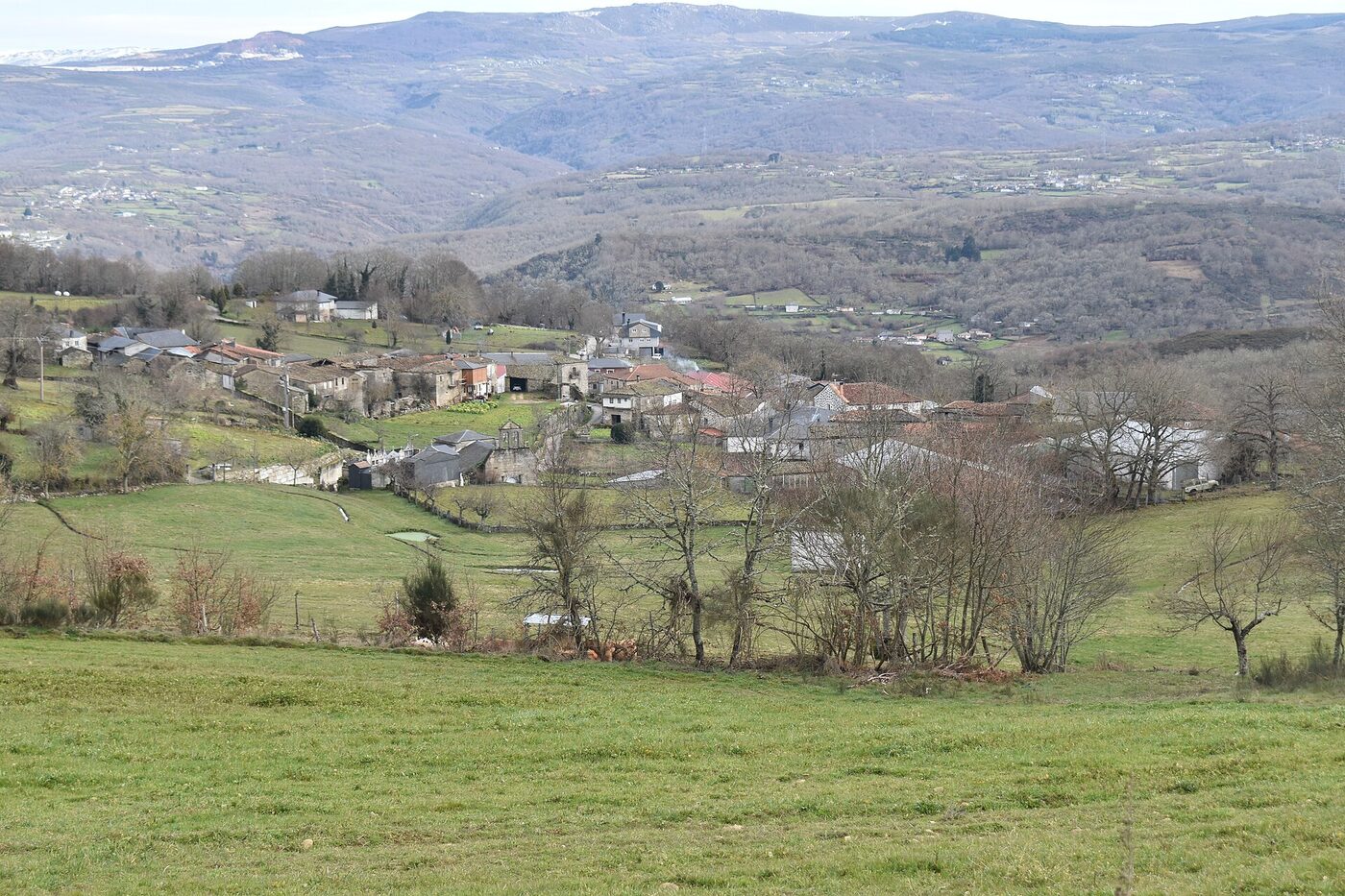 Igrexa de San Vicenzo de Fradelo en Viana do Bolo