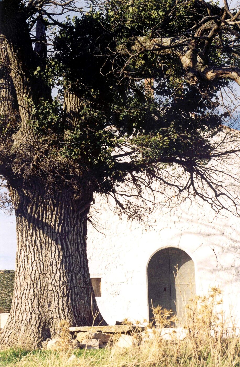 Ermita de San Roque en Vallanca
