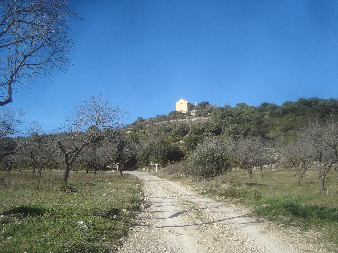 Ermita de Sant Marc i Sant Pere de la Barcella en Chert