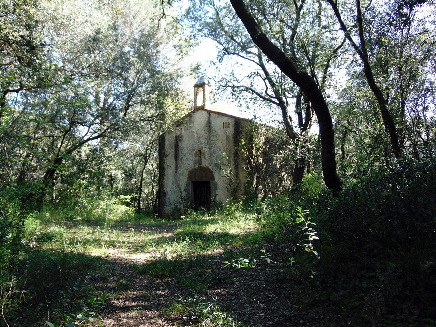 Sant Jaume dels Verders en Vilanant