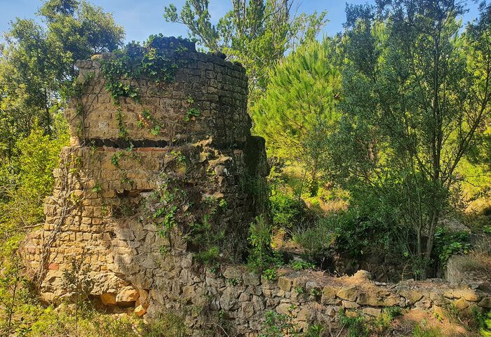 Sant Vicenç de les Corts