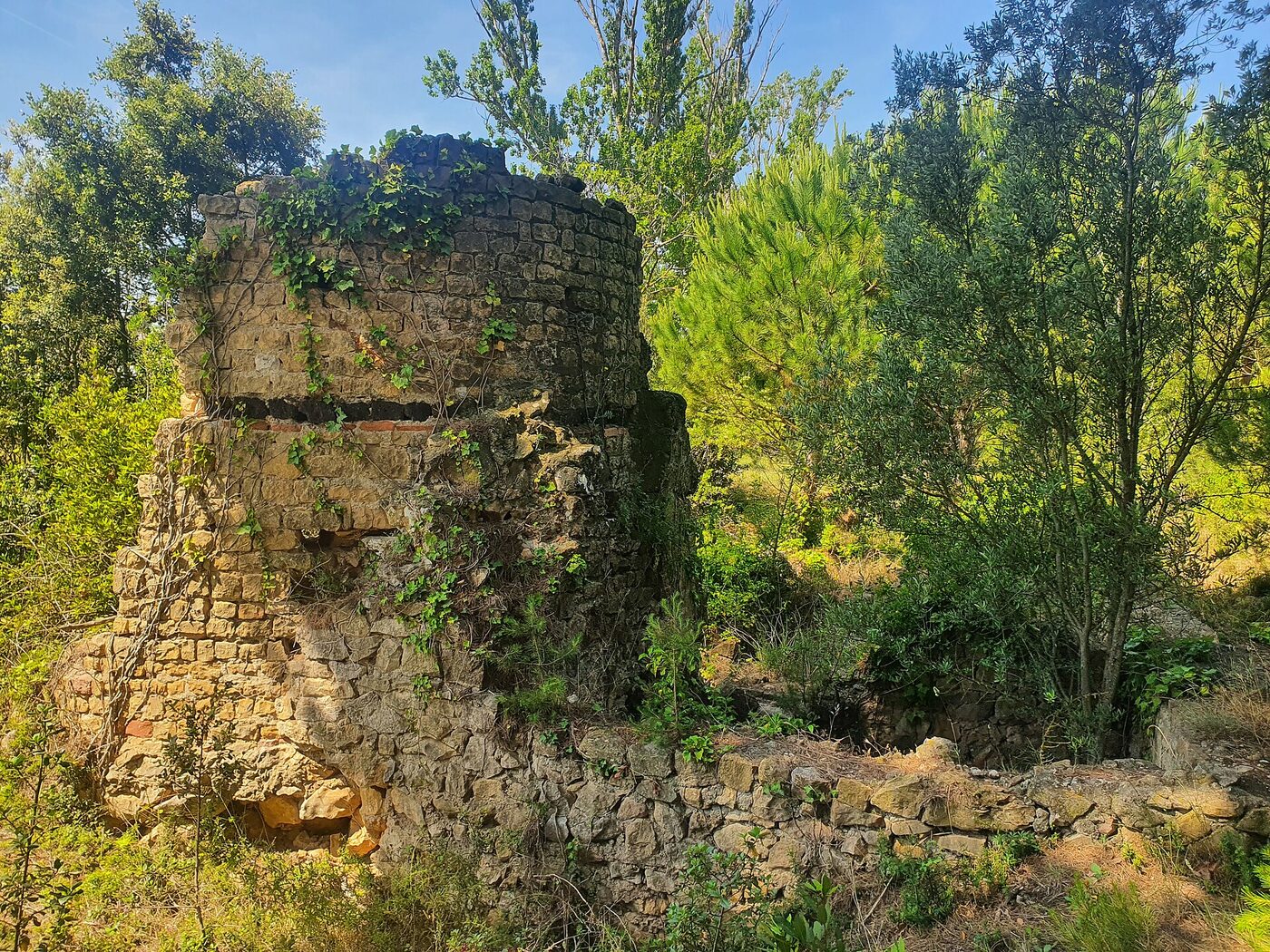 Sant Vicenç de les Corts en l'Escala