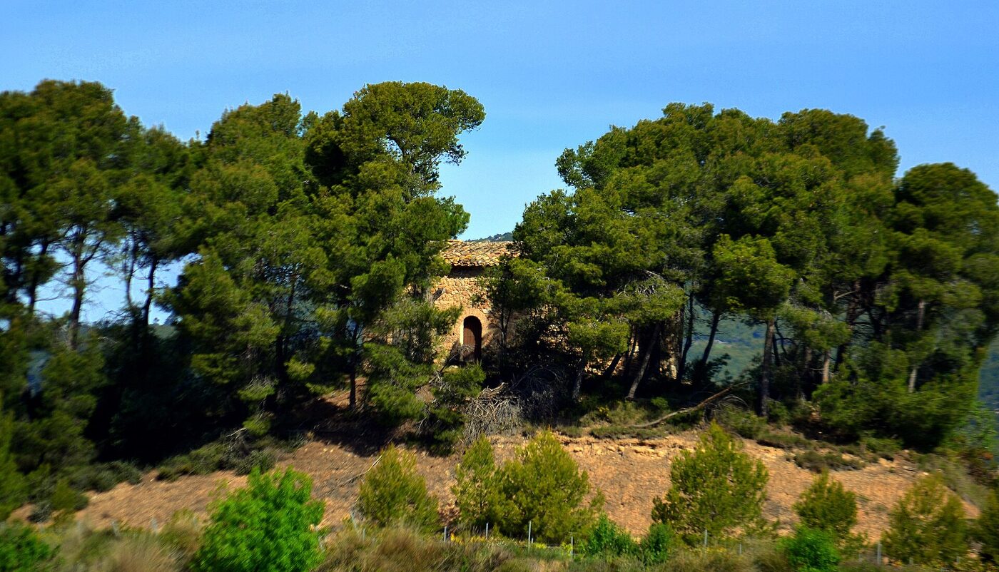Sant Joan de la Maçana en Font-rubí