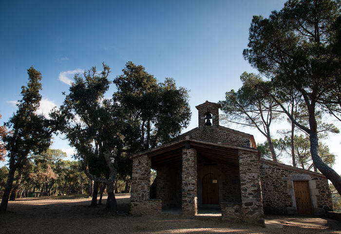 Sant Cristòfol del Bosc