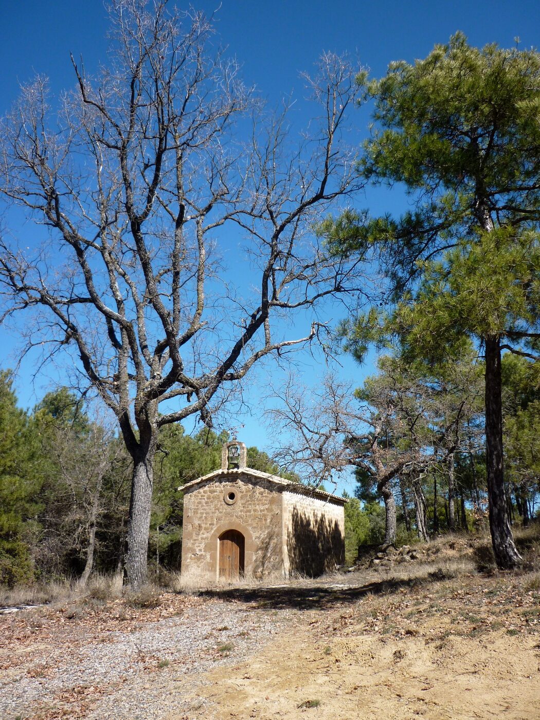 Sant Ermengol de Madrona en Pinell de Solsonès