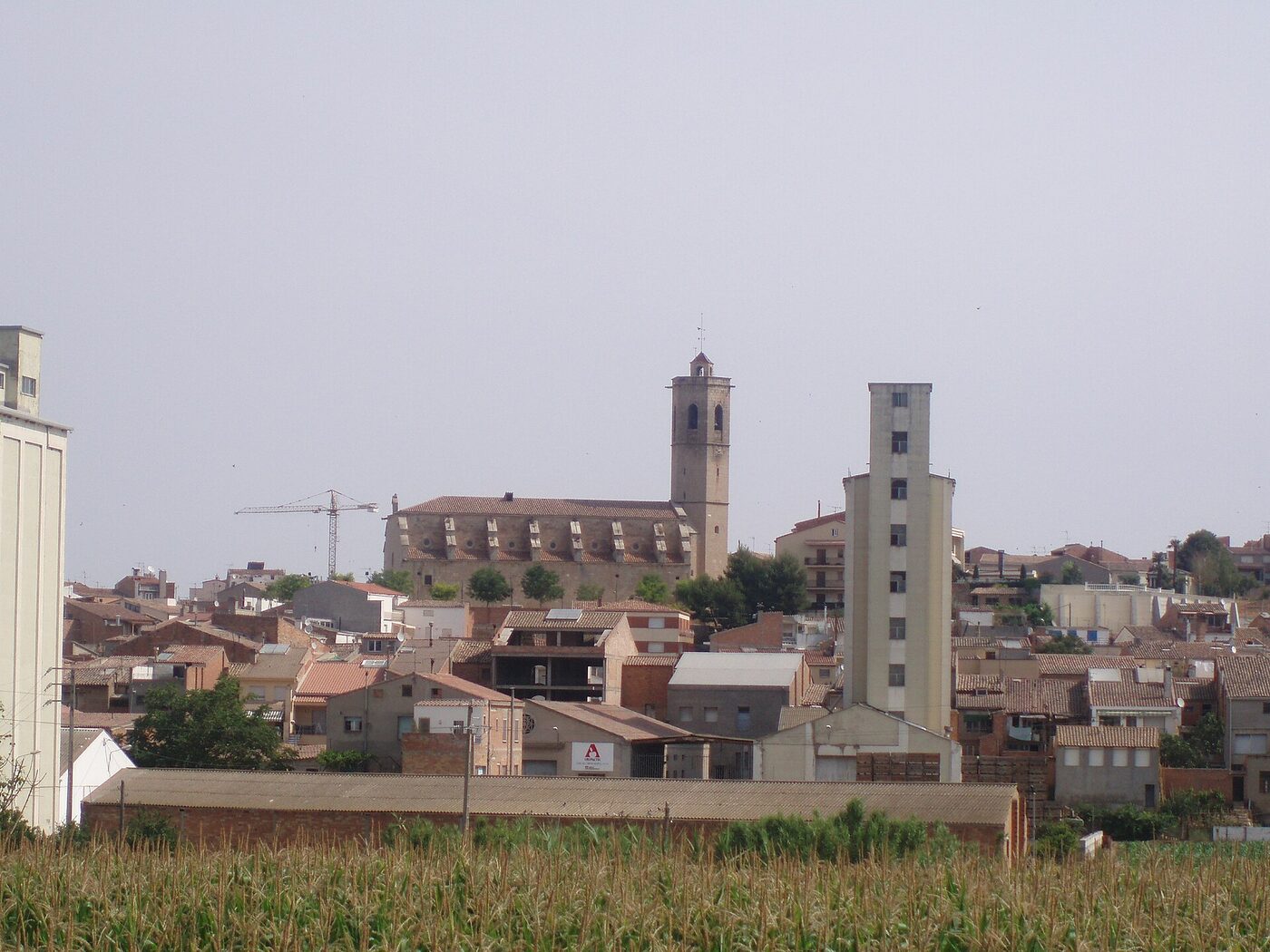 Sant Nicolau en Bellpuig
