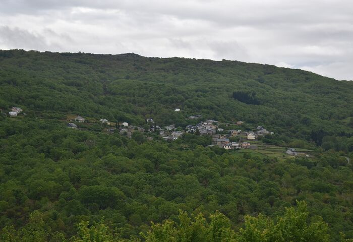 Igrexa de San Bartolomeu de Fornelos