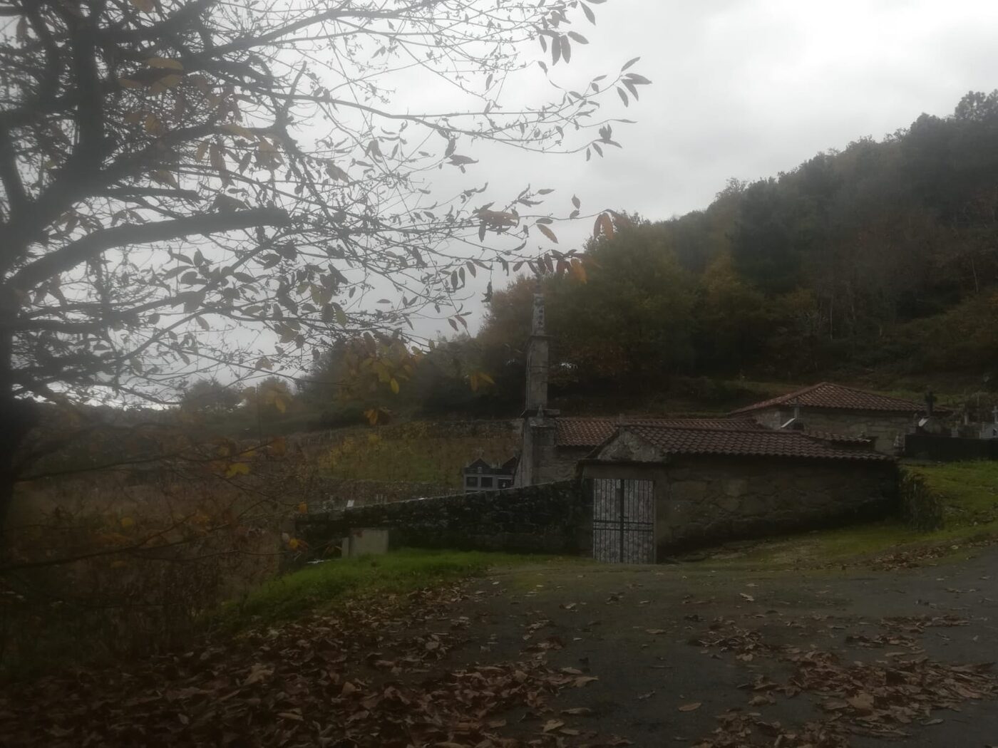 Igrexa de Santo André de Ribeiras de Miño en Pantón