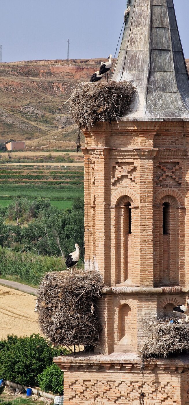 Iglesia de Nuestra Señora de la Asunción en Velilla de Ebro
