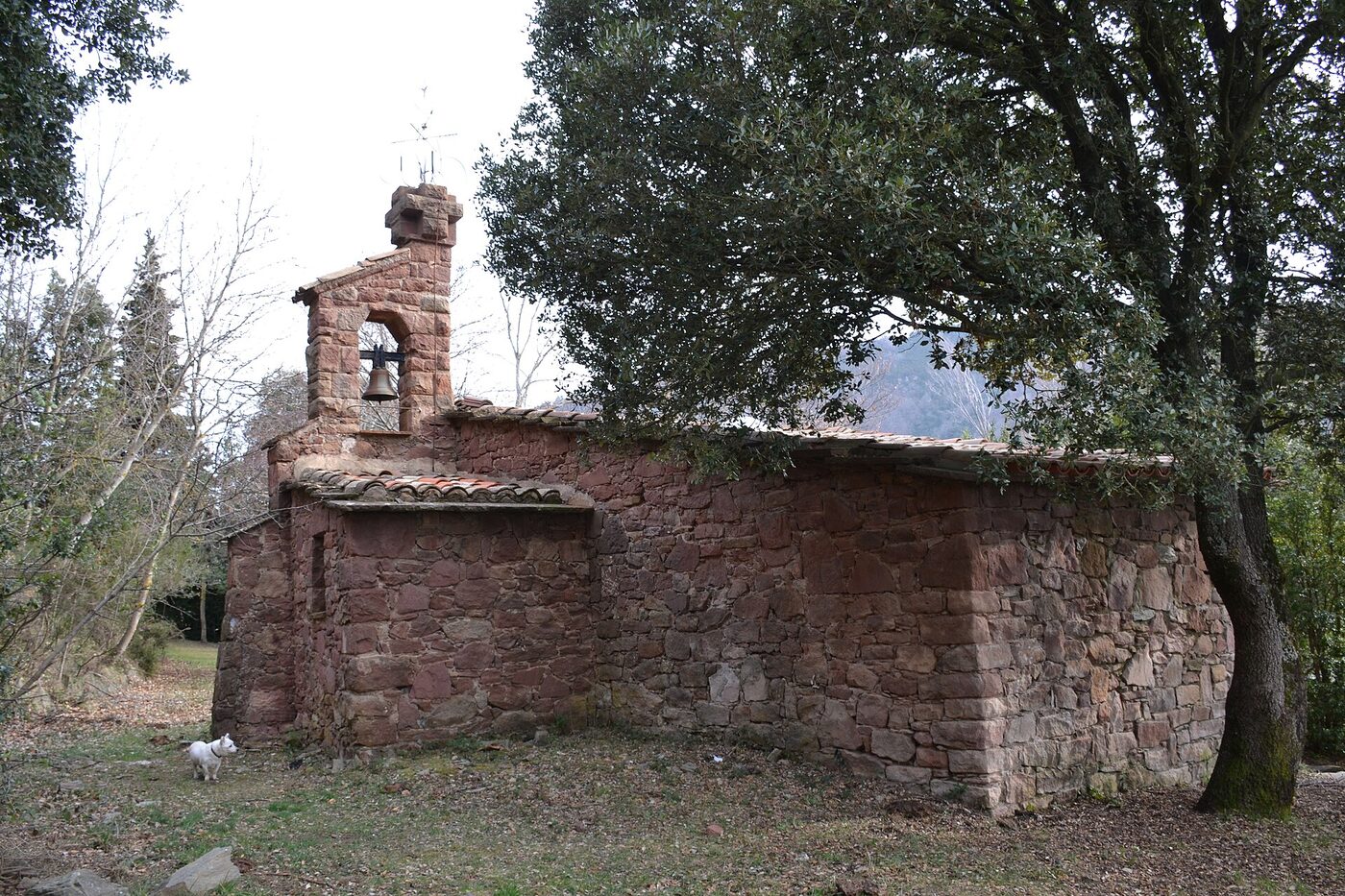 Santa Maria Mitjancera del Brull en el Brull