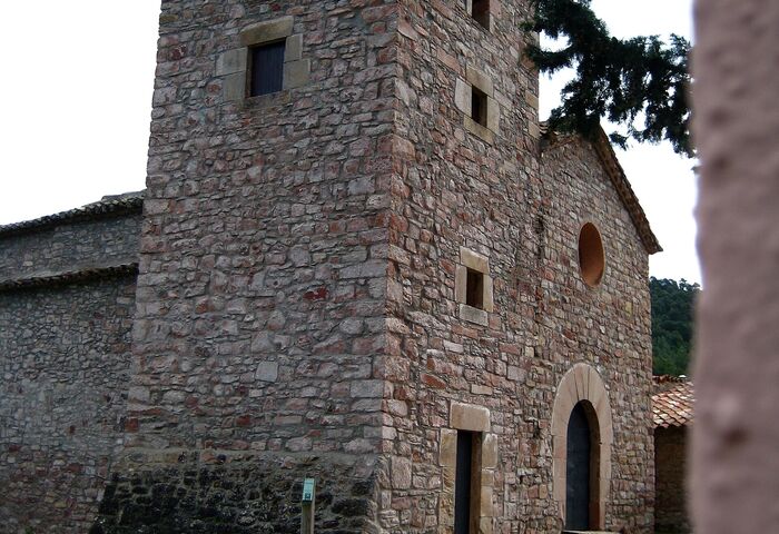 Sant Pere de Valldaneu