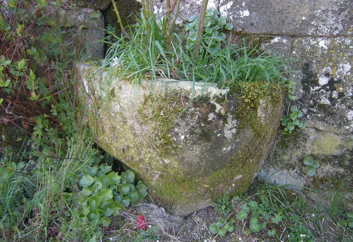 Igrexa de San Xiao de Pedroso