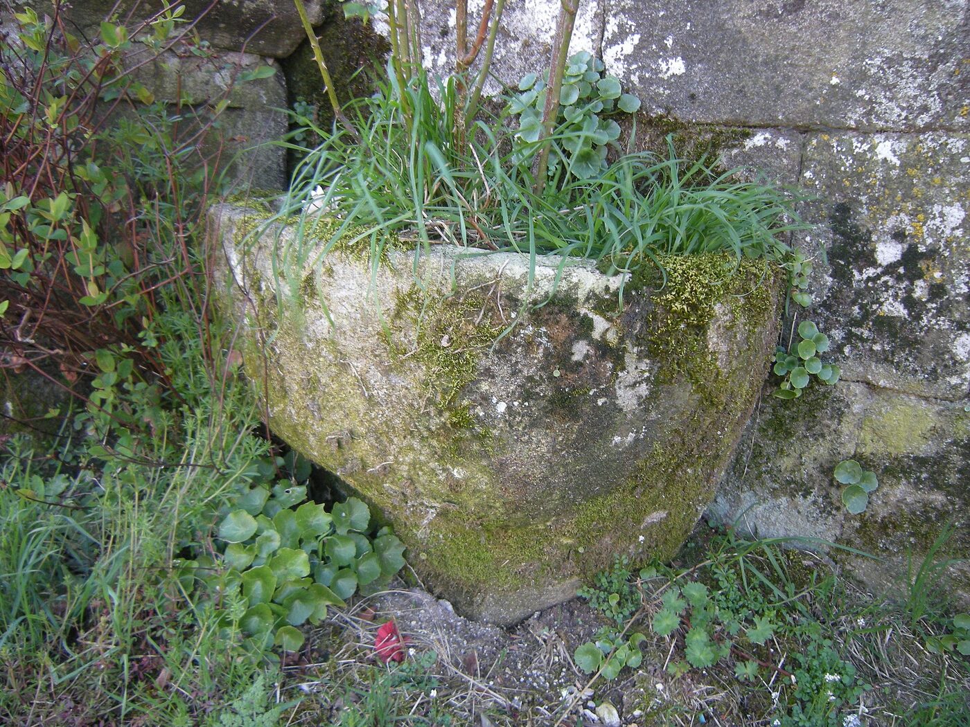 Igrexa de San Xiao de Pedroso en Rodeiro