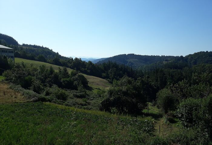 Igrexa de San Xoán de Paradavella