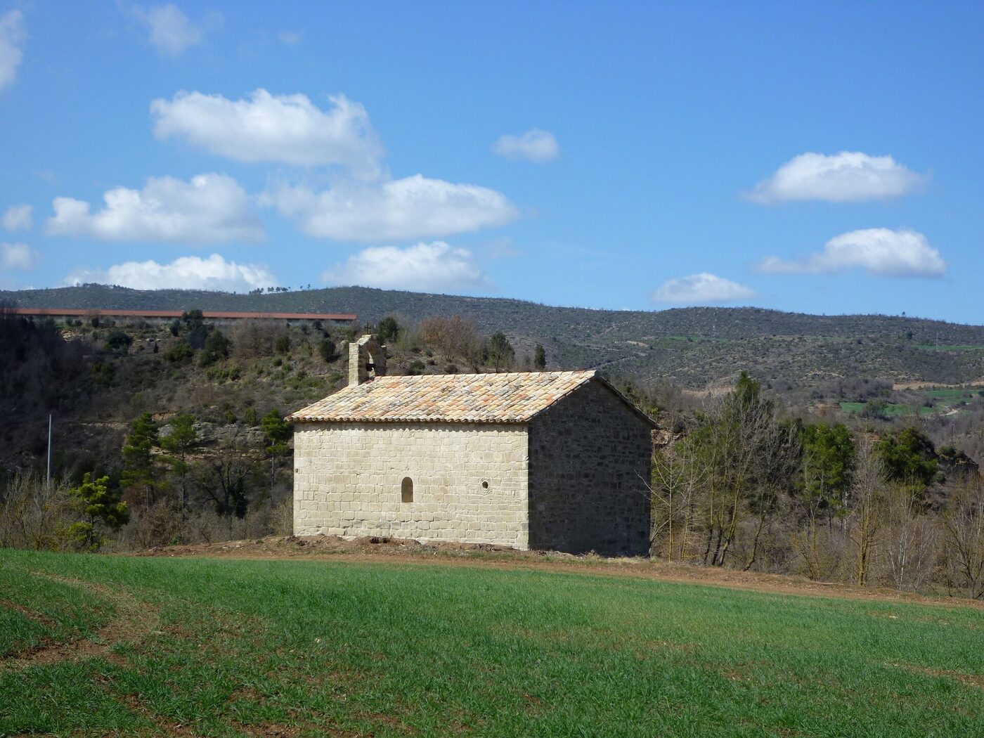 Sant Pelai de l'Oliva en Pinós