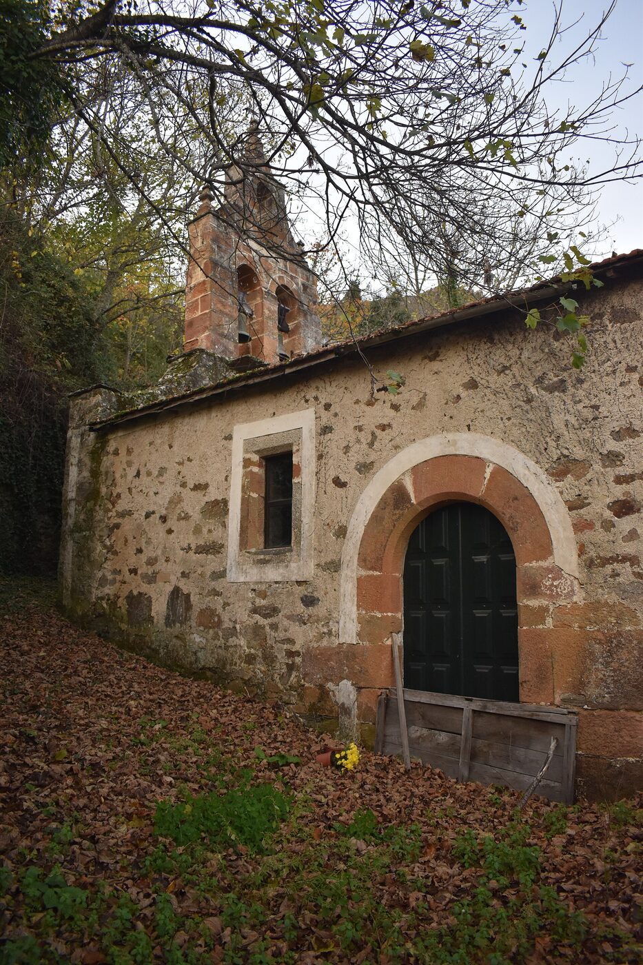 Igrexa de San Miguel de Navea en A Pobra de Trives