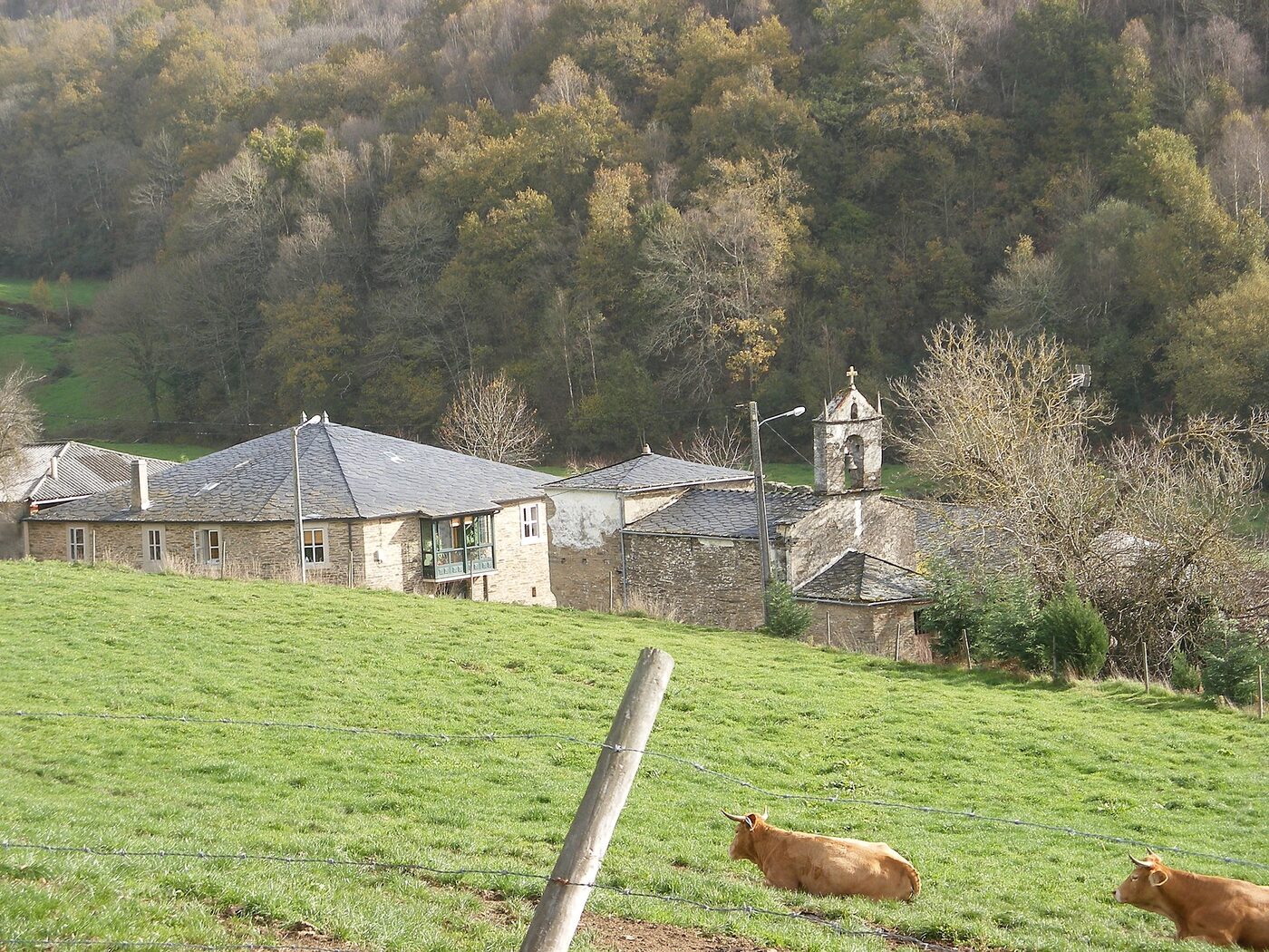 Igrexa de Santiago de Zoó en Samos