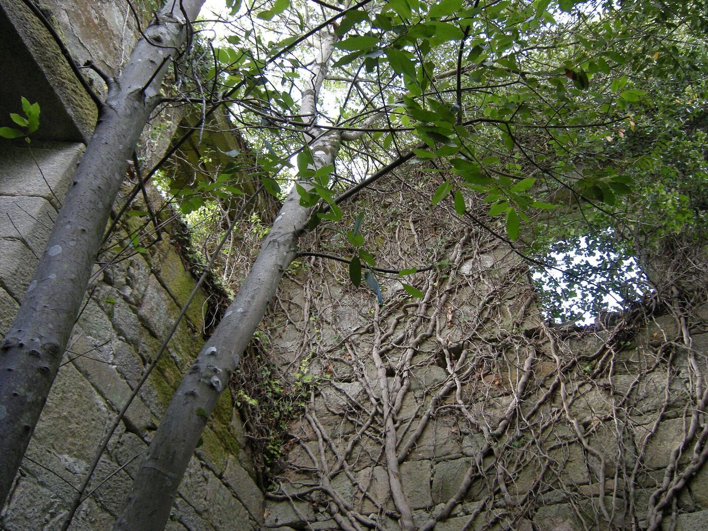 Capela do Mosteiro de Santa Comba de Naves en Ourense