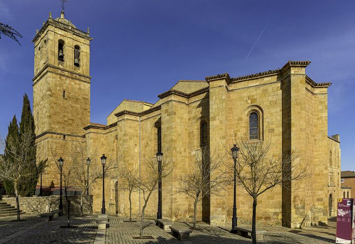 Concatedral de San Pedro